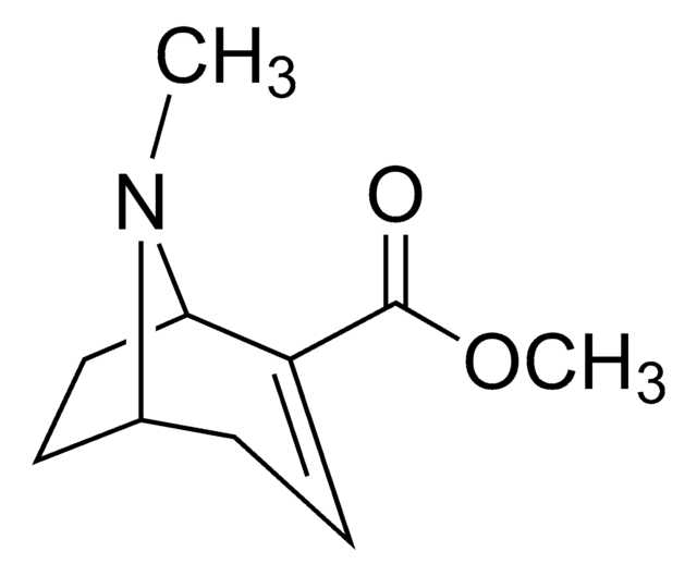 Anhydroecgonine methyl ester solution